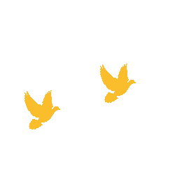 20221221214712_33573.jpg
